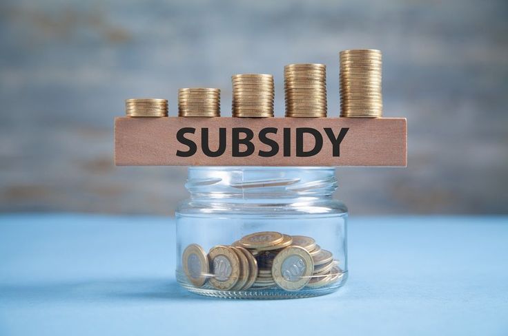 Top Government Schemes & Subsidies for Businesses in India